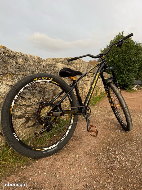 Vélo, collectif, X1 (image 4)