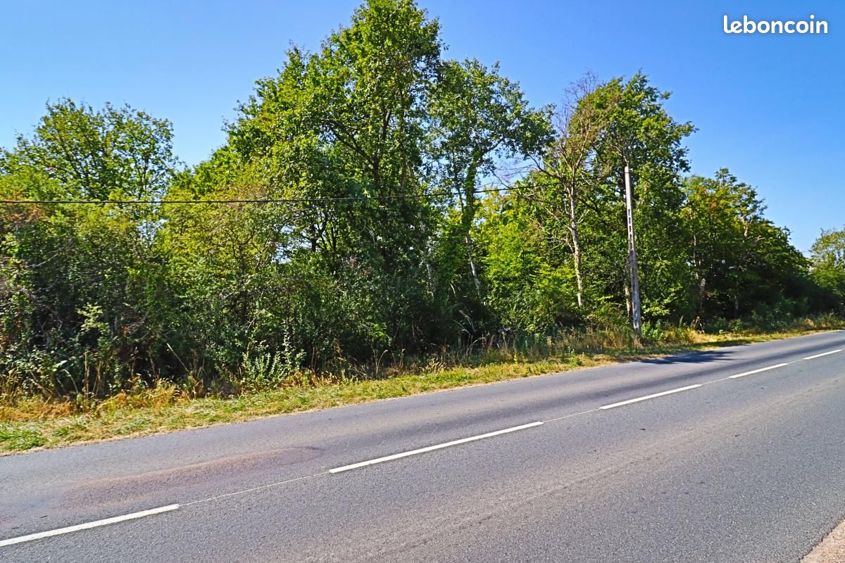 Terrain 1 500 m² Tracy Sur Loire (image 8)