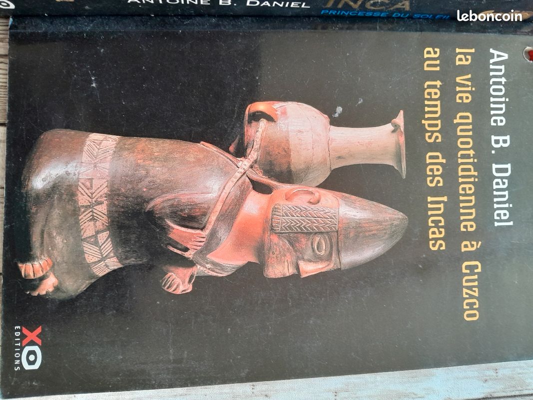 Gros Livre roman "Princesse Inca" + livret 5e (image 2)
