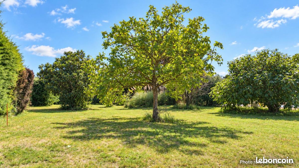Terrain 1 387 m² Aubignan · 221 000 €