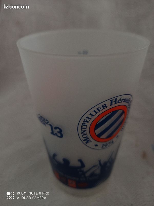 2 Eco cup MHSC 2012-13 2015-16 (image 2)