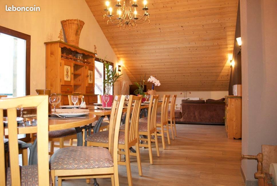 Eté - Hiver : Chalet-Appartement-Duplex pour 10/12 pers à Châtel (image 3)