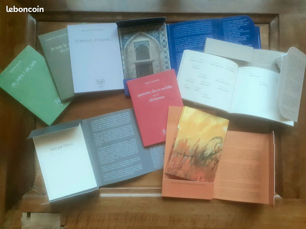 Lot de beaux livres poésie bilingue (collection Po&psy) (image 3)