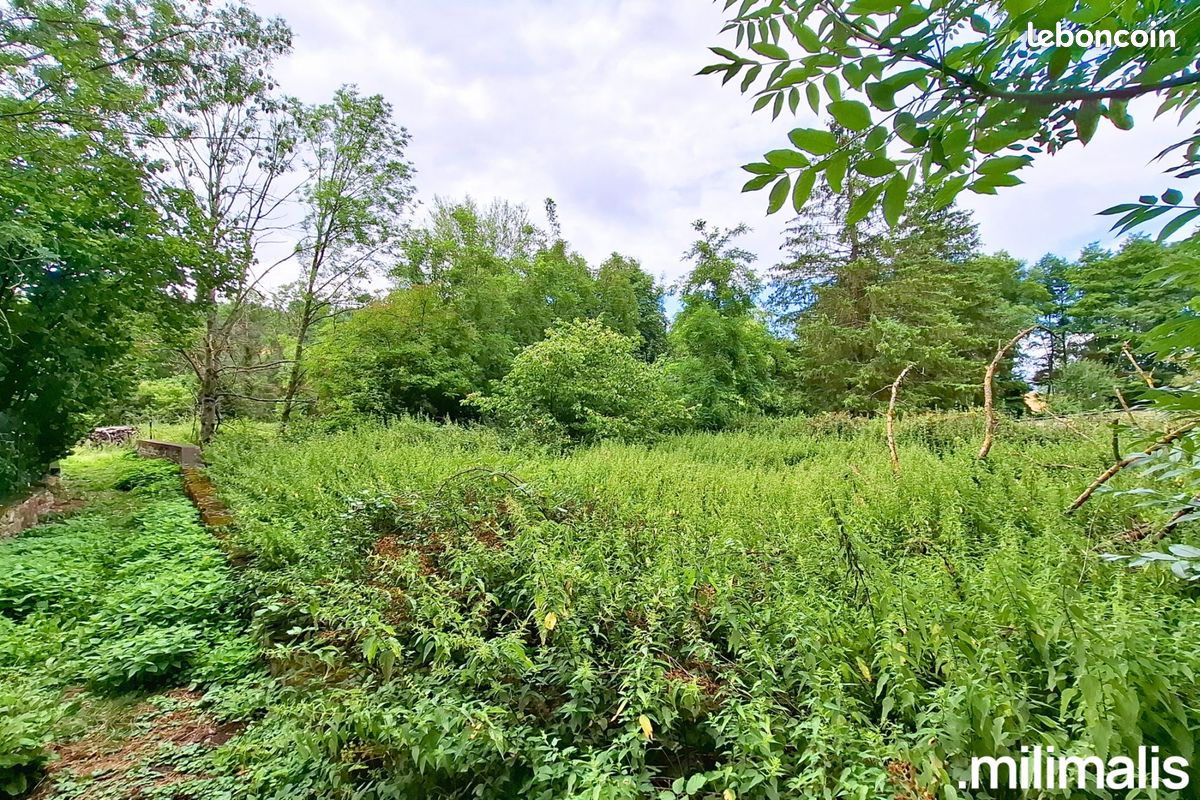 Terrain 2067 m² · à Haute-Vigneulles · 2 067 m² · 64 000 €