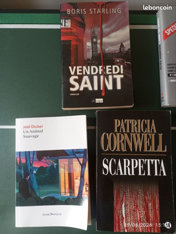 Livres policier/thriller (image 2)