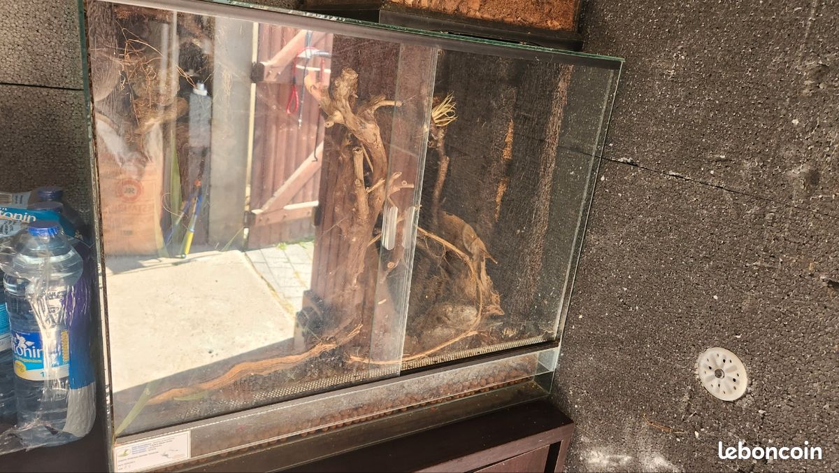 Terrarium/Vivarium (image 2)