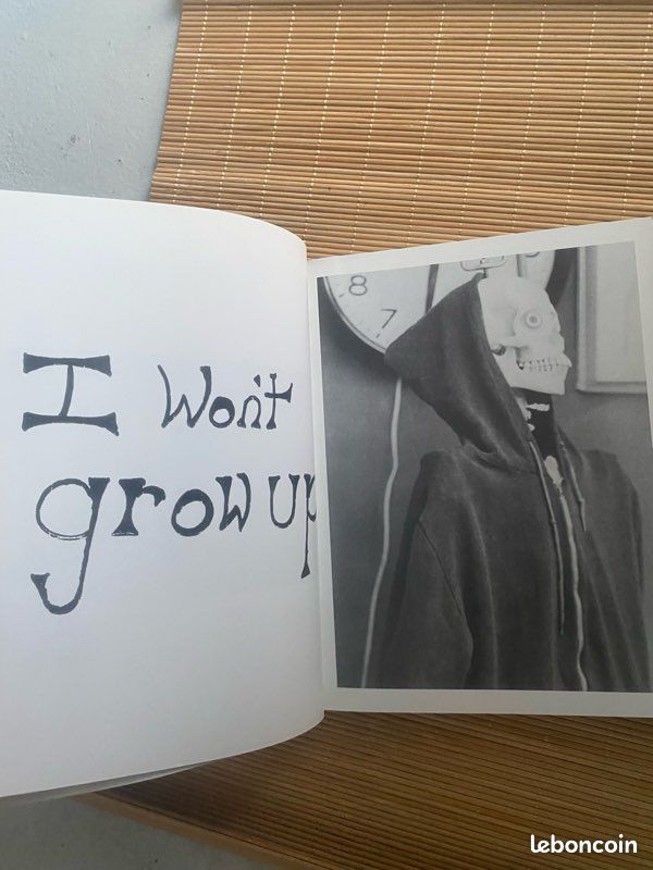 School spirit -pierre huyghe, douglas coupland , rencontre (image 7)