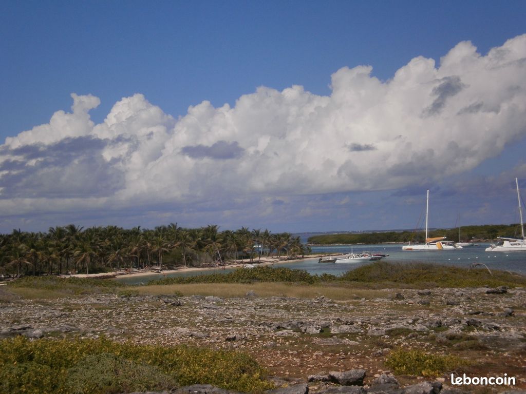 Saint François - Studio - WIFI - Plage & centre ville à 500 metres (image 9)