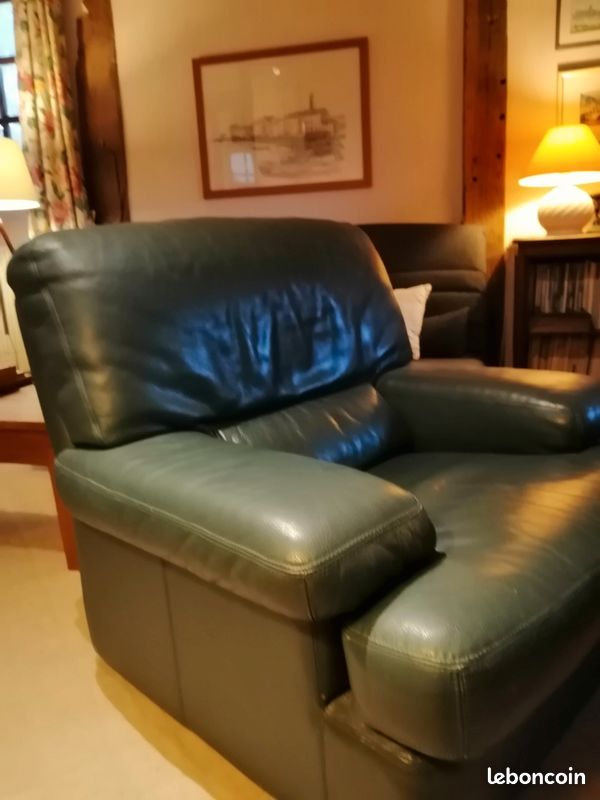 Fauteuil confortable en cuir (image 2)