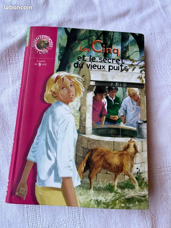 Le Cinq, Le Secret du Vieux Puits (image 1)