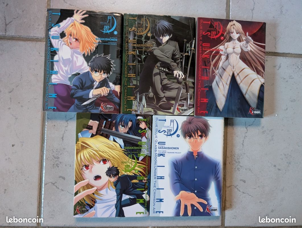 Tsukihime manga 5 à 9 (image 4)