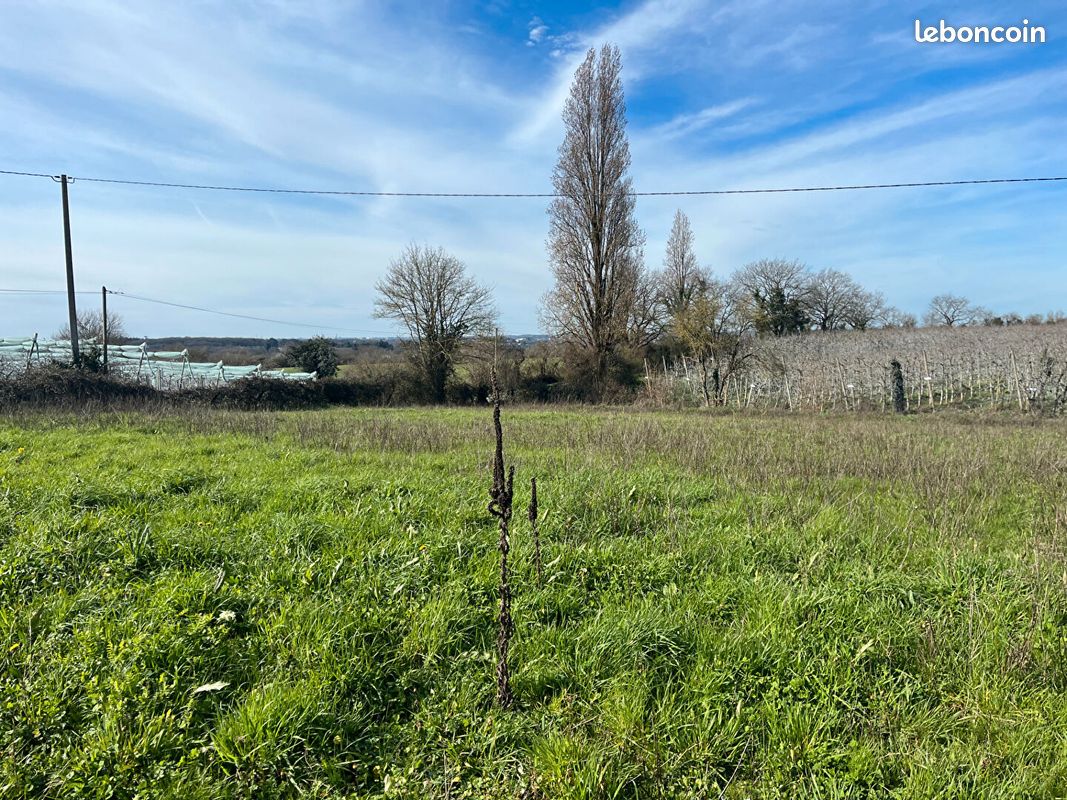 Terrain 1550 m² · à Carquefou · 1 550 m² · 139 000 €