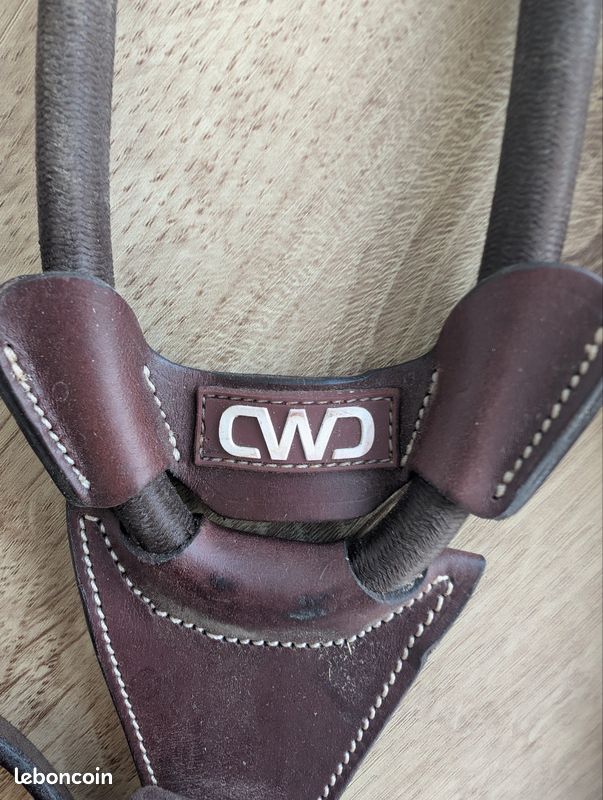 Martingale Anglaise CWD En Cuir Plat - Taille 2 (Cob) - Neuve Avec Décoloration