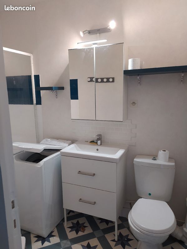 Location meuble - Limoges 87000 Bénédictins-Montplaisir (image principale 6)