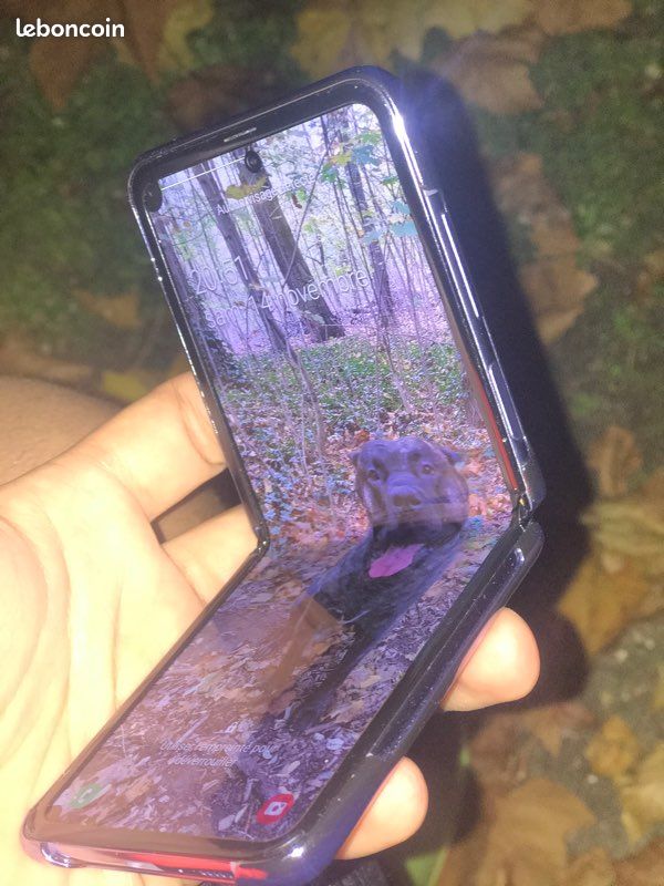 Samsung Galaxy Z Fold (image 1)
