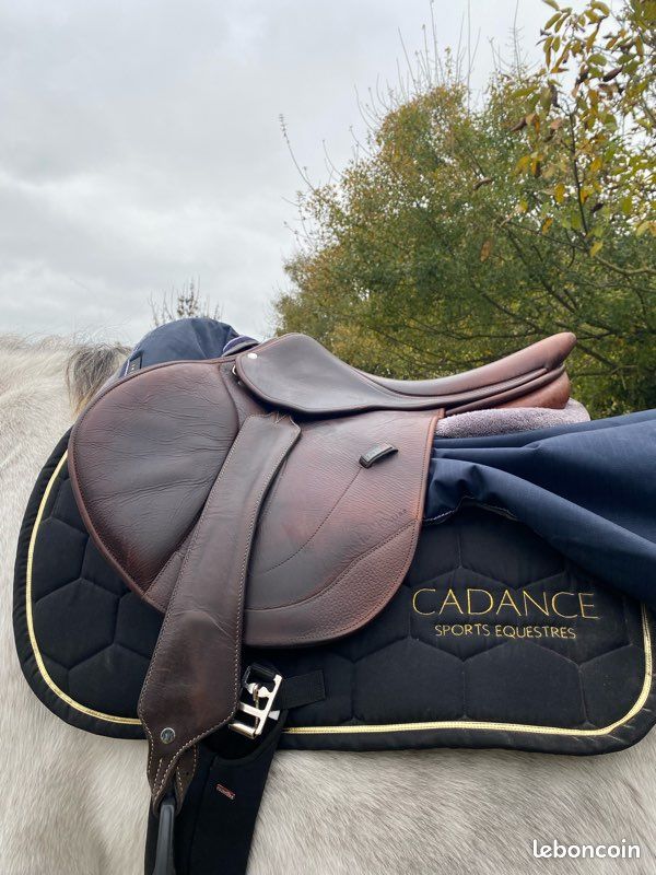 Tapis Cadance SPORT ÉQUESTRE (image 1)