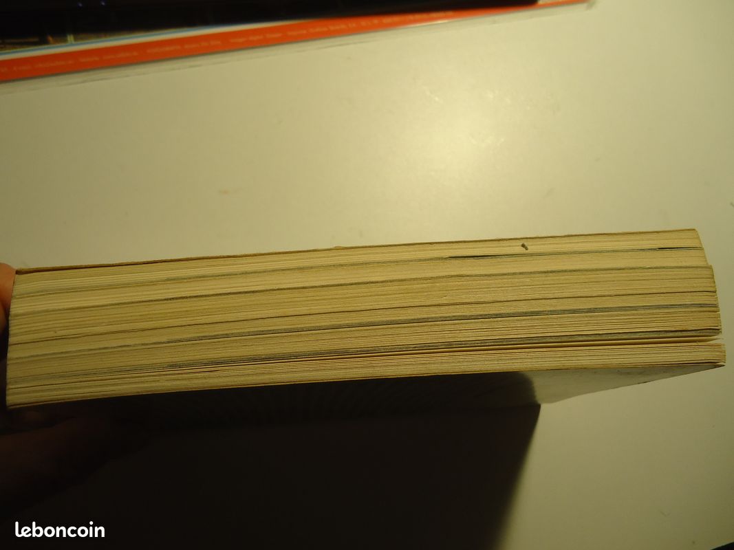 Livre "le monde arabe" (image 4)