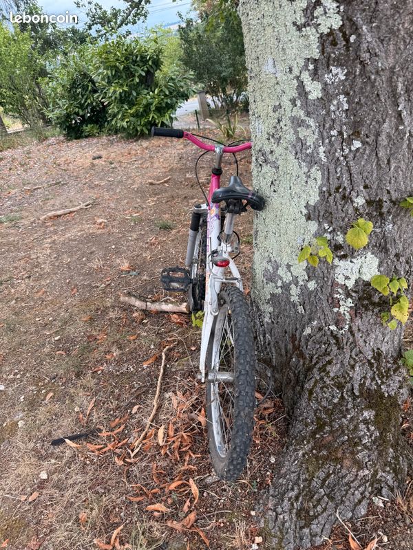 Vélo 20 pouces fille (image 2)