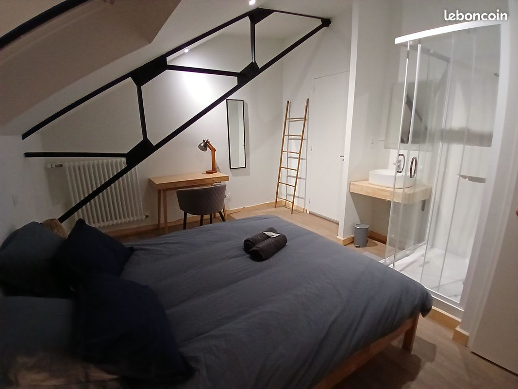 Location grand appartement 4 chambres - 8 personnes en plein cœur de La Roche Sur Yon (image 11)
