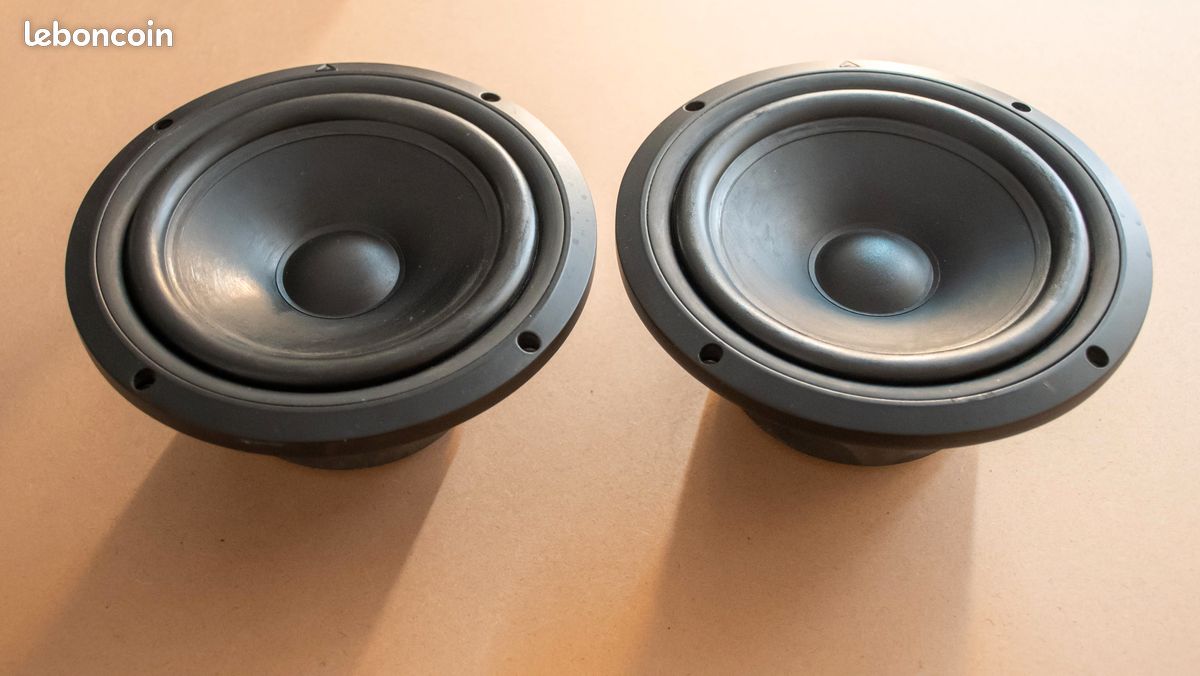 ATHOM LD230TDR04 Haut-Parleur de Grave / Subwoofer