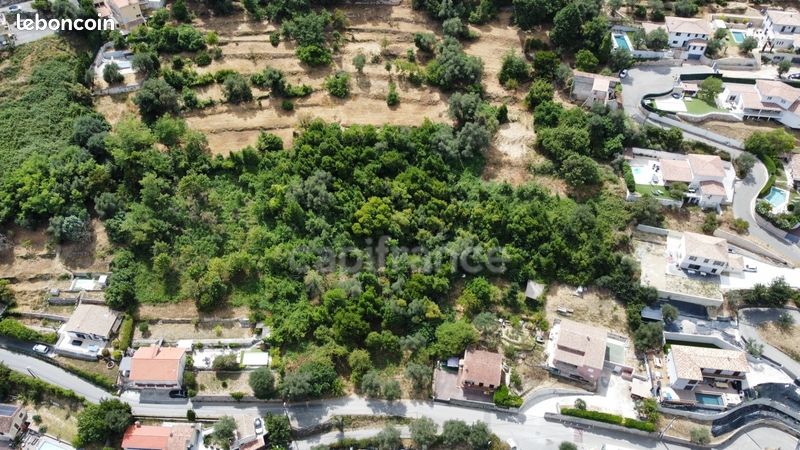Terrain 3 160 m² Falicon (image 3)