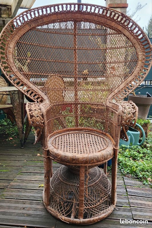 Fauteuil Emmanuelle ou Black Panthers (image 1)