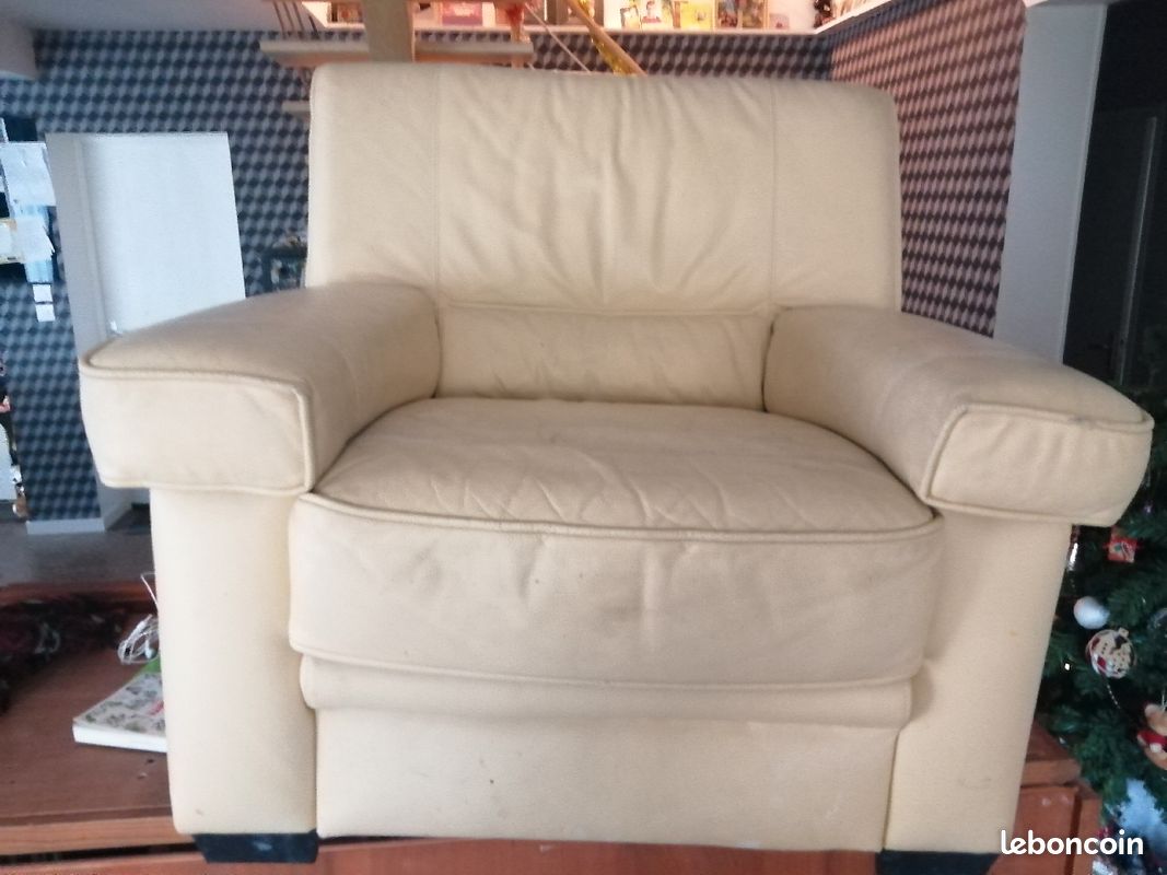 Fauteuil cuir (image 2)