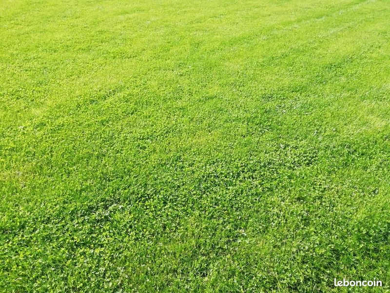Terrain 455 m² Plurien · 86 500 €