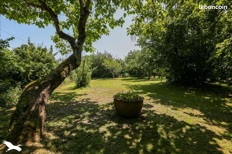Maison 10 pièces 220 m² (image 3)
