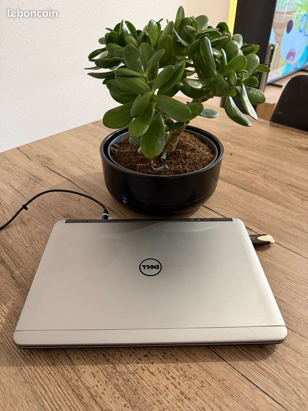 DELL LATITUDE D 520 ordinateur portable vendu sans chargeur en l'état