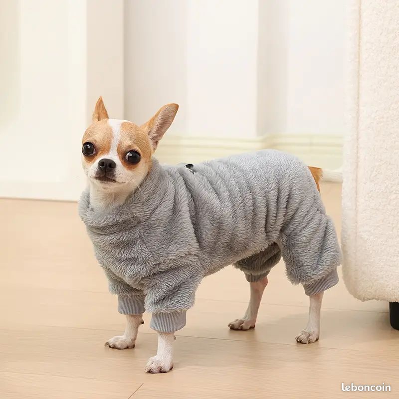 Chihuahua Vetement Pour Chien Yorkshire Chiens Chihuahua Vetement