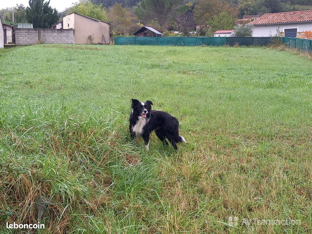Terrain 920 m² · à Albi · 920 m² · 99 900 €