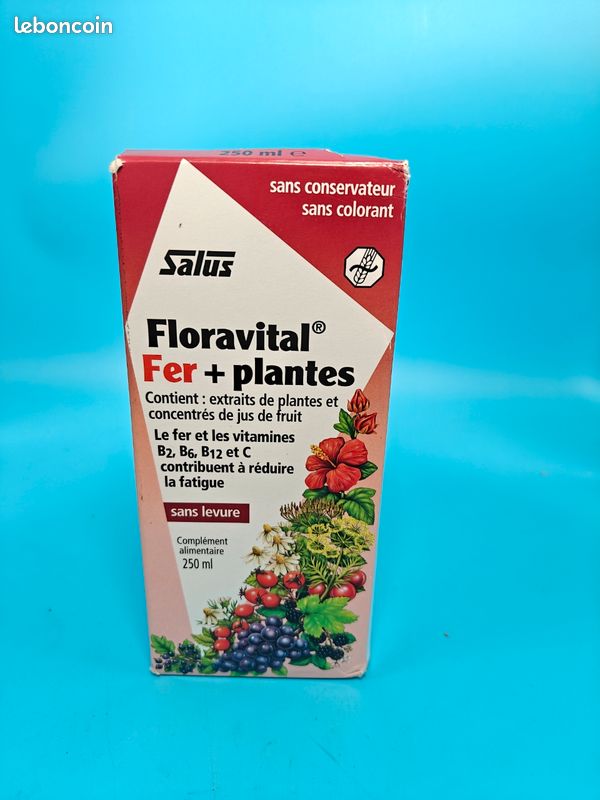 Floradix Floravital, Dficit en fer 250ml Salus - Jardin & Plantes