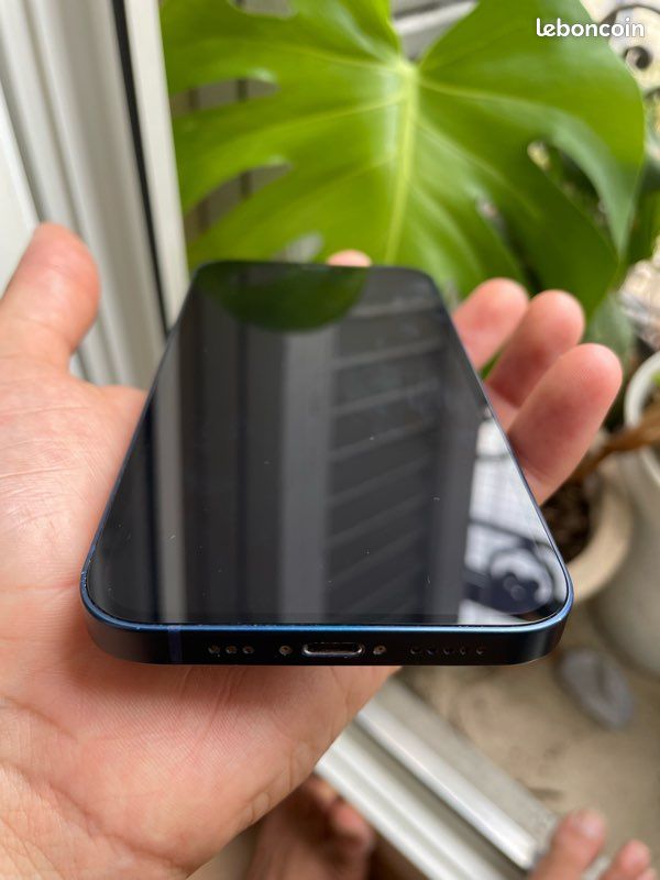 IPhone 12 (image 5)