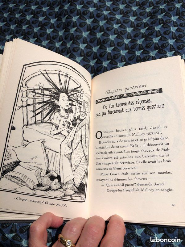 Les chroniques de Spiderwick (livre 1) (image 3)