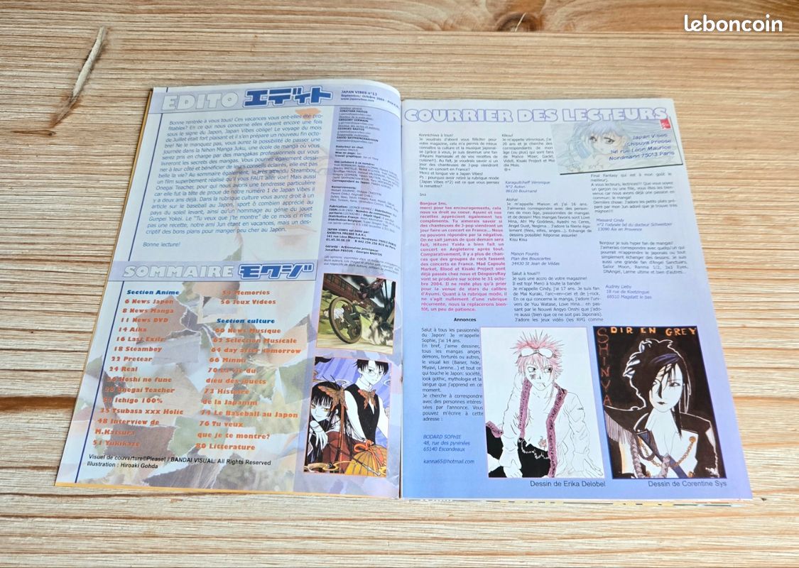 Magazine jeux vidéo Japan vibes 13. Bon état (image 3)