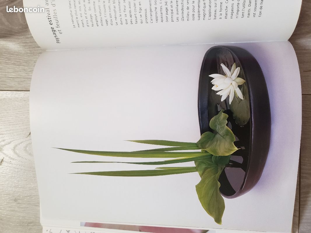 Vases et livre Art du bouquet de fleurs (image 9)