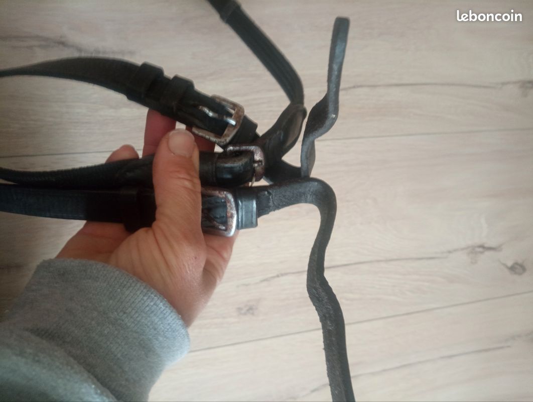 Jouet à tirer en corde avec balles nouées pour chien Zolia