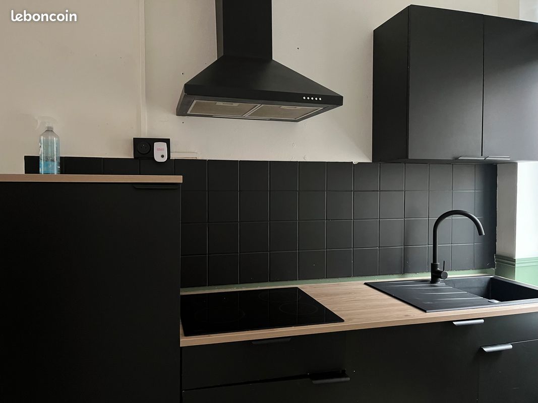 Appartement 2 pièces 51 m² · à Roubaix · 50,9 m² · 550 €/mois