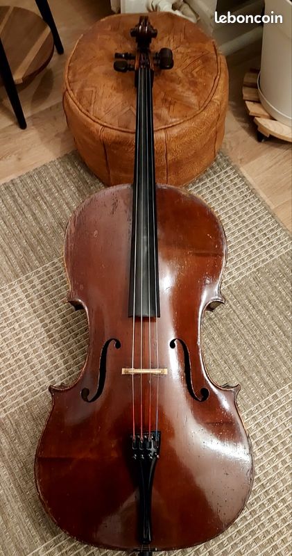 Cours de violoncelle particuliers (image 1)