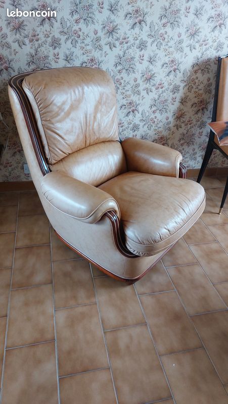 Fauteuil en cuir (image 2)