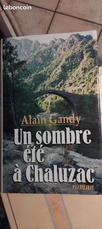 "Un sombre été à Chaluzac" Alain Gandy (Neuf) (image 1)