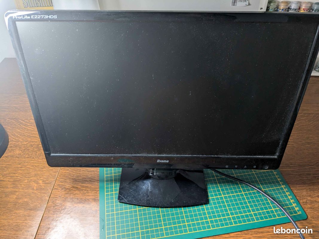 Écran DVI+VGA iiyama ProLite E2273HDS (image 1)