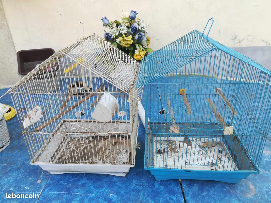 Cage à oiseau (image 1)