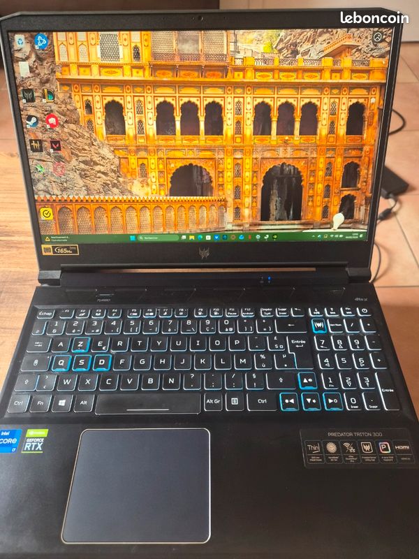 Acer predator (image 1)