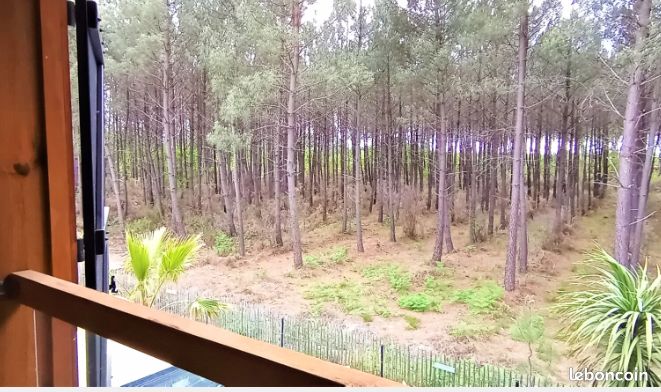 Appartement 3 pièces 60 m² · à Lège-Cap-Ferret · 60 m² · 388 000 €