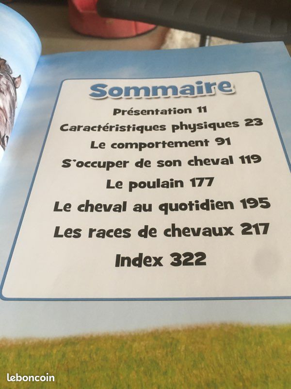 Livre sur les chevaux et poneys (image 6)
