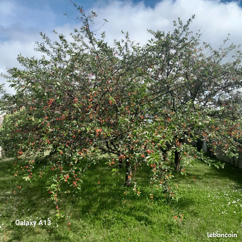 Terrain Riantec · 136 000 €