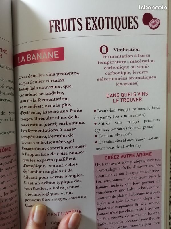 Coffret activité Œnologie Idéal pour études en restauration (image 7)