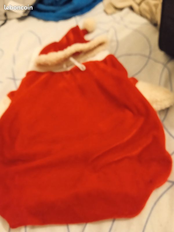 Habit de Noël pour chien (image 1)